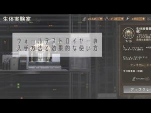 【ステサバ】ウォールデストロイヤーの入手方法と効果的な使い方。ラリーリーダーを飛ばしちゃって戦闘を有利に進めよう！【ステートオブサバイバル】【state of survival】